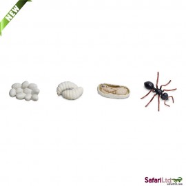 Ciclul Vieții la Furnică Safari Ltd - Set Educativ