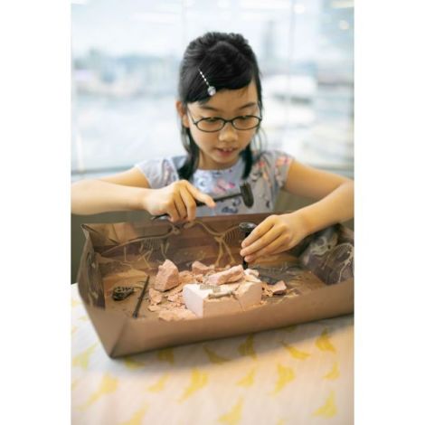 4M Brachiosaurus Sapa și Descoperă Set Educativ - imagine 6
