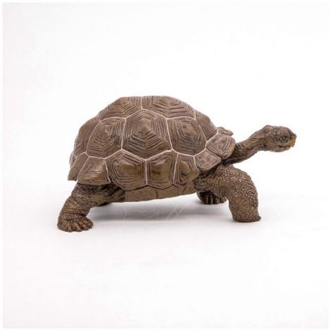 Papo Testoasa Galapagos - Figurina Detaliata - imagine 2