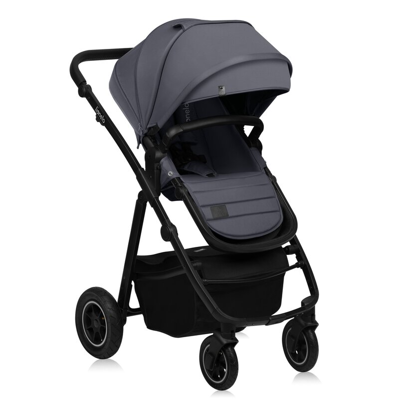 Carucior 2 in 1 Premium Lionelo Amber Plus - imagine 2