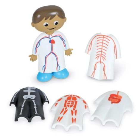 Set Anatomie Corpul Uman - Learning Resources - imagine 4