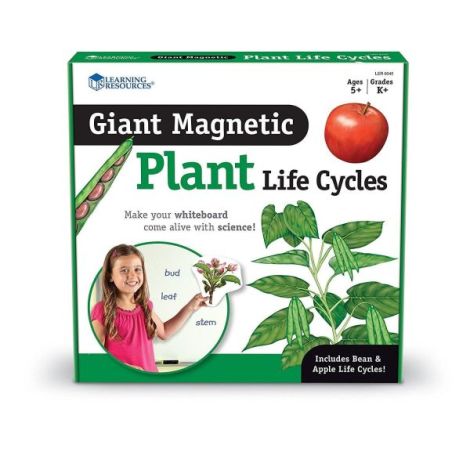 Ciclul Vietii Plantei - Set Magnetic Learning Resources - imagine 4