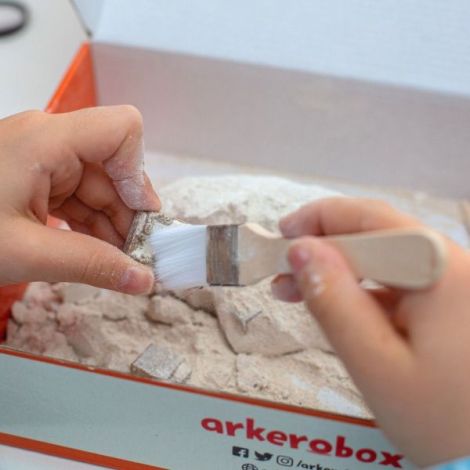 Arkerobox Set Arheologic Efes Biblioteca Celsus - imagine 4