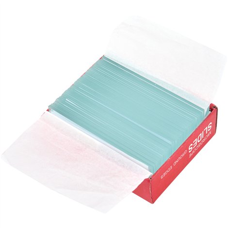 Set 50 Lamele Microscop Moje Bambino | Didactic