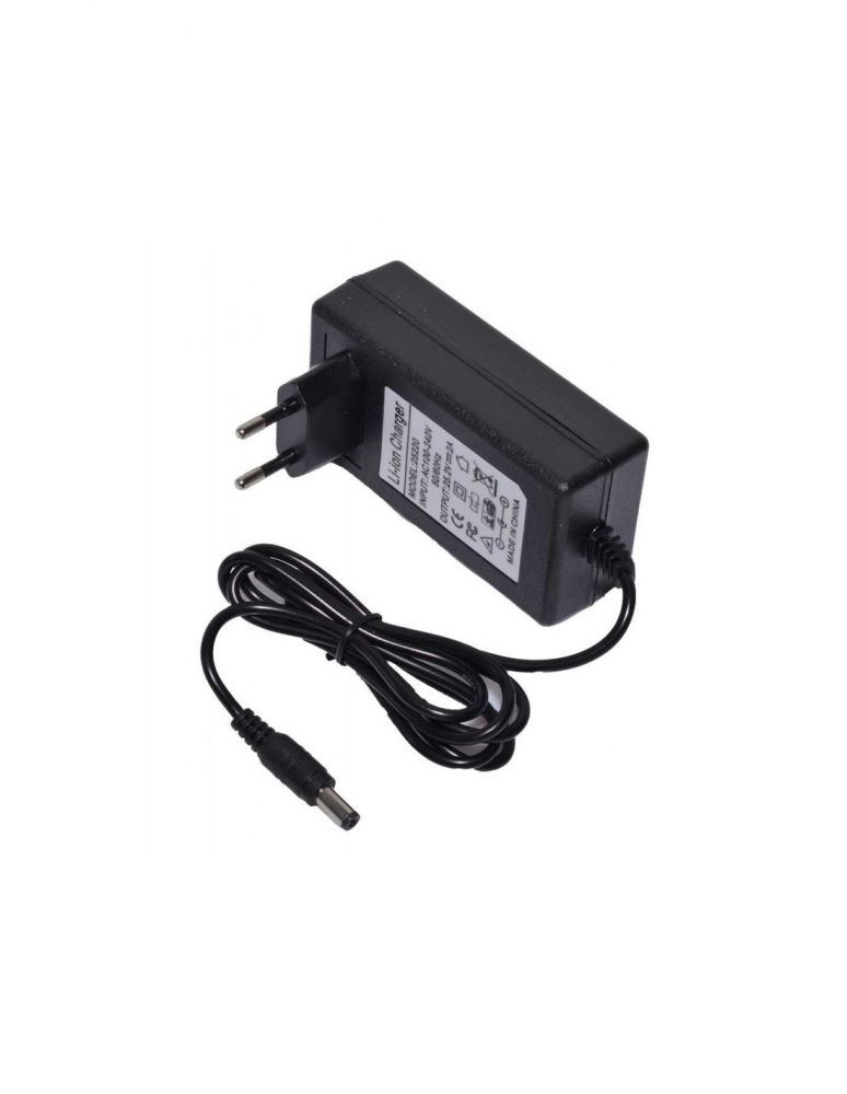 Încărcător 15V Nichiduta pentru Mașini Electrice - imagine 2