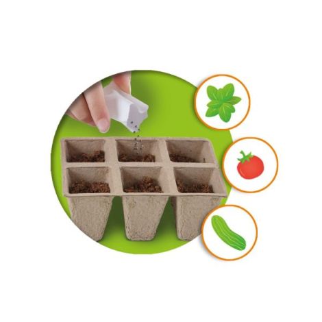 Sera Creativă Legume Ses Creative - Cultivă Acasă! - imagine 5
