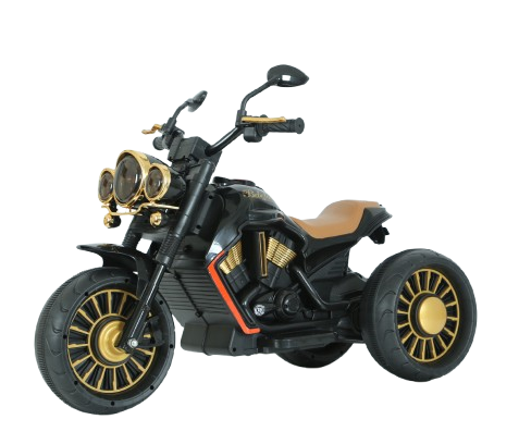 Motocicleta electrica 3 roti Hollicy, Telecomanda