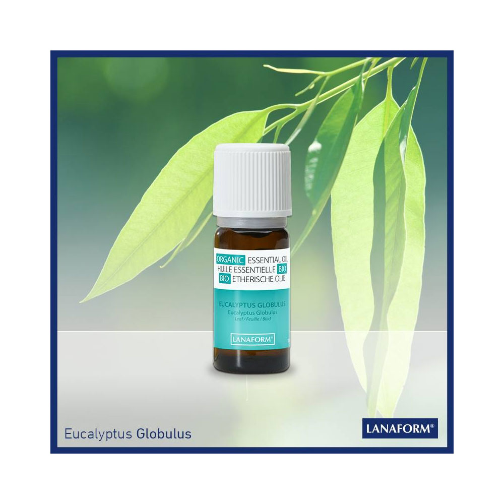 Ulei Organic Eucalipt Lanaform - Purificator și Relaxant - imagine 2