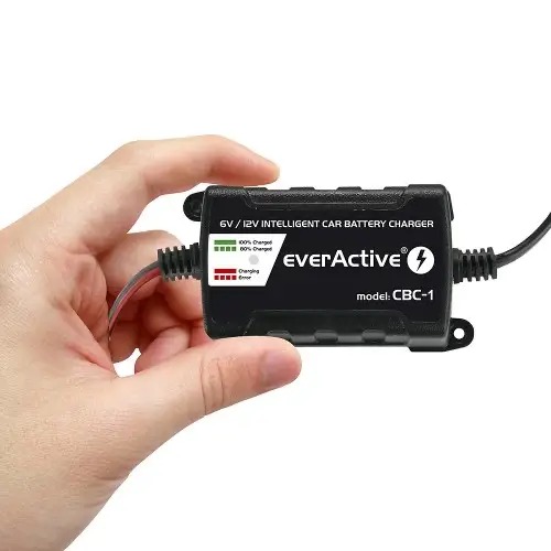 Încărcător Inteligent 6V/12V everActive pentru Mașini Electrice - imagine 2