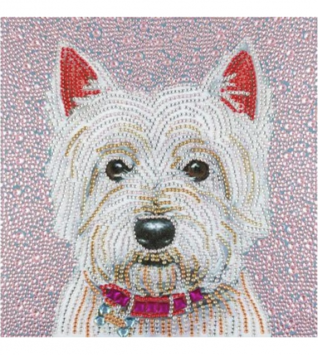Tablou Diamante Bichon Alb Krista cu Ramă