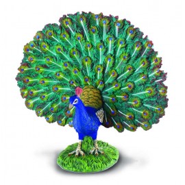 Figurina Paun Collecta | Detalii Realiste & Siguranta