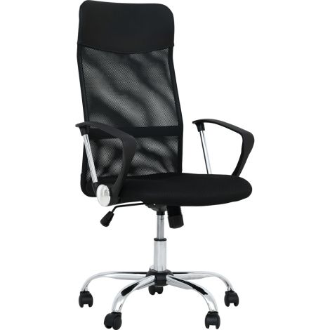 Scaun ergonomic Moje Bambino cu spțtar plasă