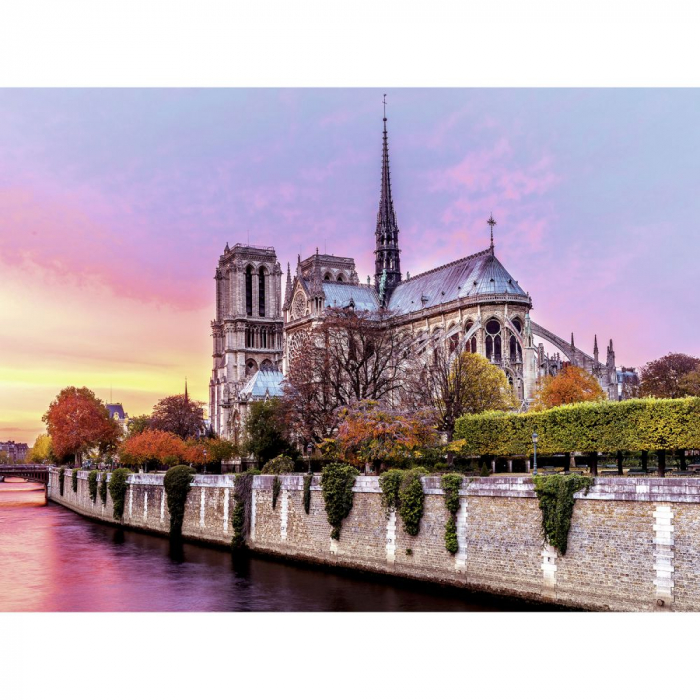 Puzzle Ravensburger Notre Dame | Pictură Detaliată