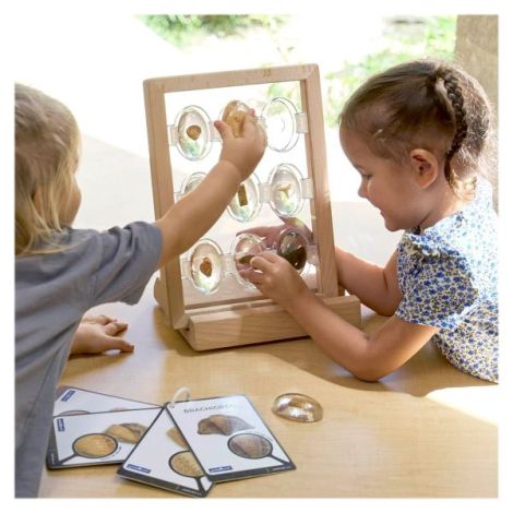 Guidecraft Specimen Stones - Set Fosile Preistorice - imagine 4