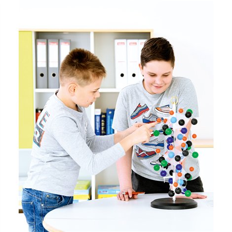 Model Proteină Moje Bambino - Didactic - imagine 2