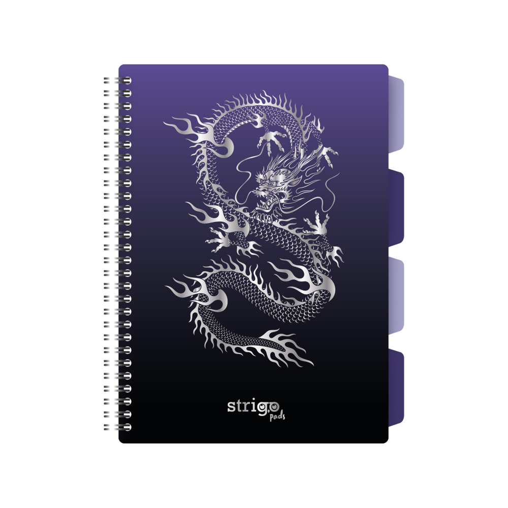 Caiet Strigo Dragon B5, Matematica, cu Separatoare
