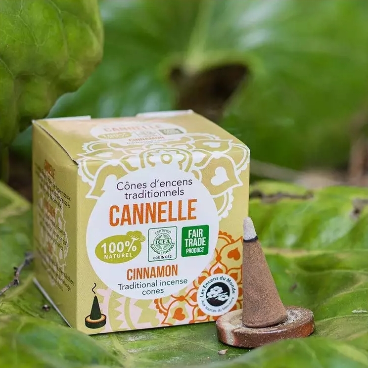 Conuri Parfumate Scorișoară Aromandise 12 buc - imagine 2
