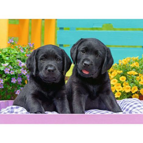 Puzzle Cățeluși, 300 Piese, Ravensburger - imagine 2