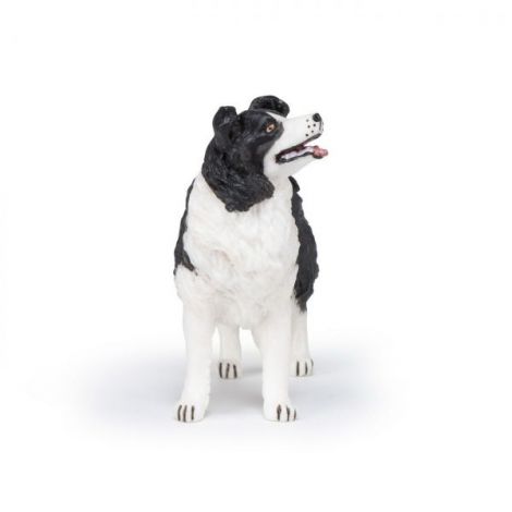 Figurina Papo Border Collie - Realism Garantat - imagine 4