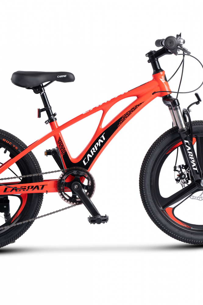 Bicicleta MTB Carpat 20" pentru copii - imagine 3