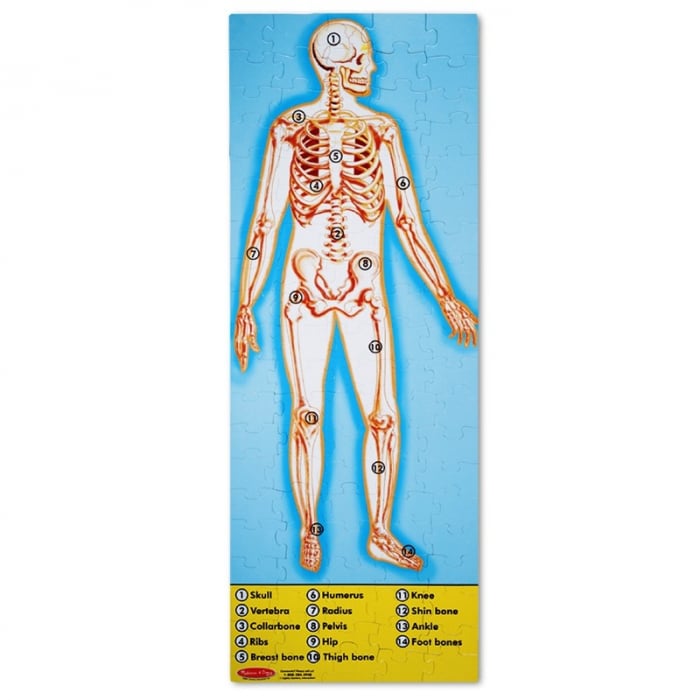 Puzzle Corpul Uman Melissa & Doug, 100 piese