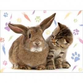 Puzzle Iepuraș și Pisicuță 500 piese Ravensburger