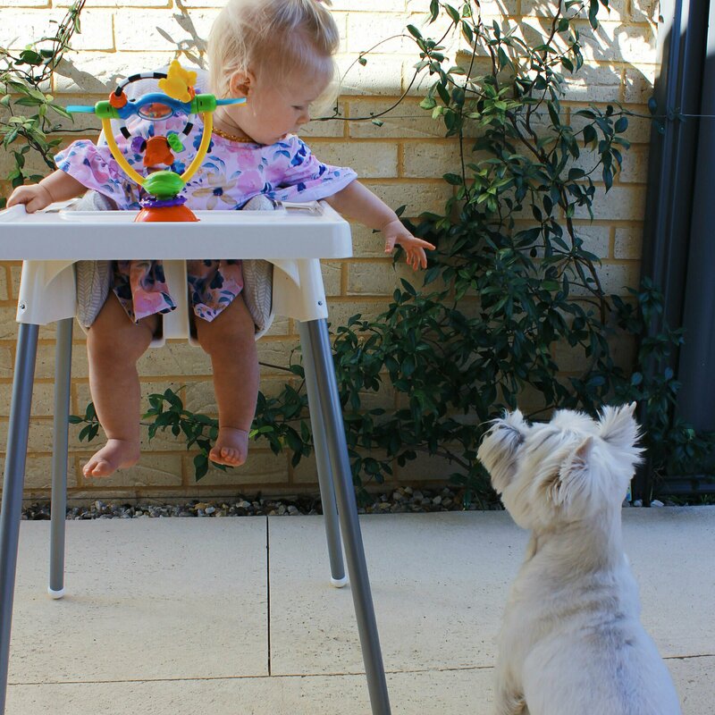 Jucarie Playgro High Chair cu Ventuza 19.5 cm - imagine 3