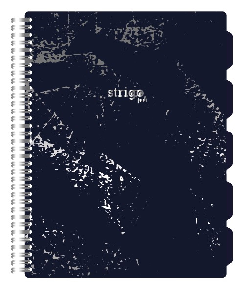 Caiet Strigo Project Book A4 Matematică