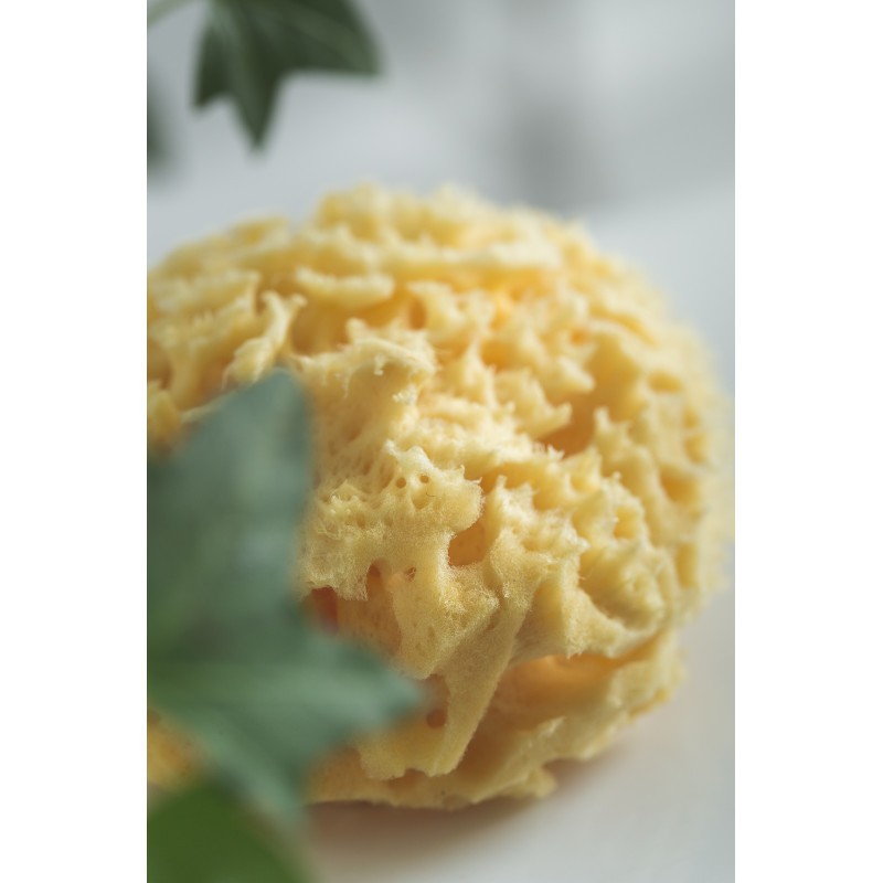 Rotho Burete Natural Bebelus - Igiena Premium - imagine 2