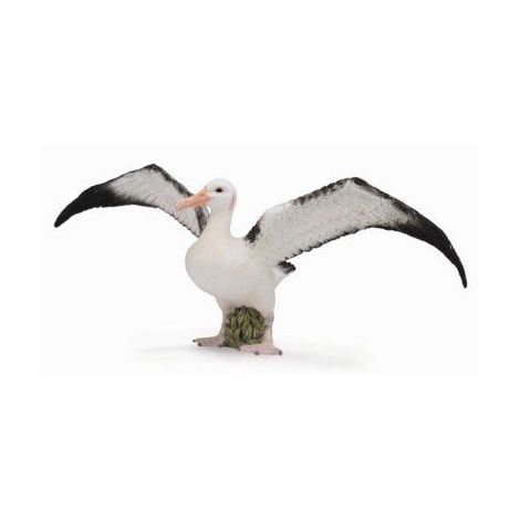 Figurina Albatros Ratacitor Collecta | Detaliat și Sigur