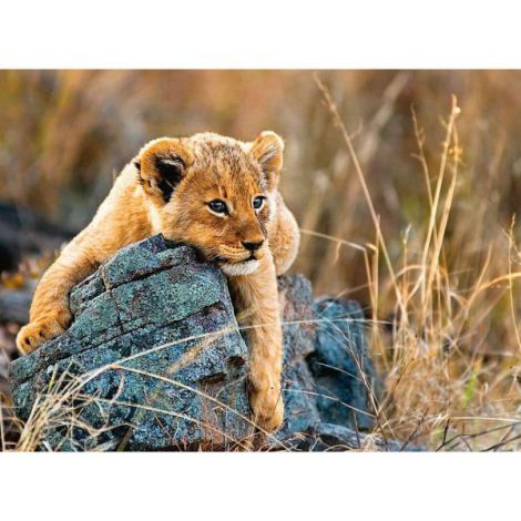 Puzzle Micul Leu 200 piese Ravensburger - imagine 2