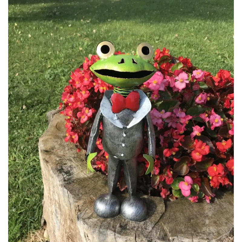 Decoratiune Broscoi Costum - Eleganță Metalică Grădină - imagine 5