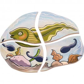 Puzzle Stratificat Broasca Beleduc | Anatomie - imagine 4
