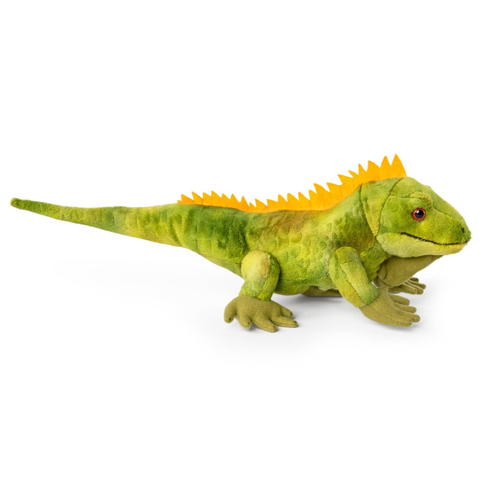 Iguana de plus 35cm Living Nature | Realist