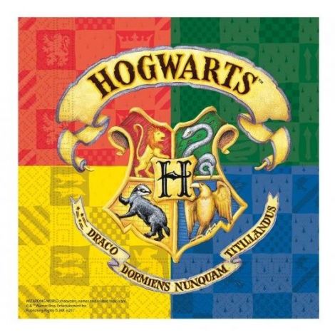 Set Servetele Harry Potter Petrecere Magica Procos