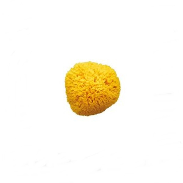 Bureți Naturali OK Baby Fagure de Miere 14cm