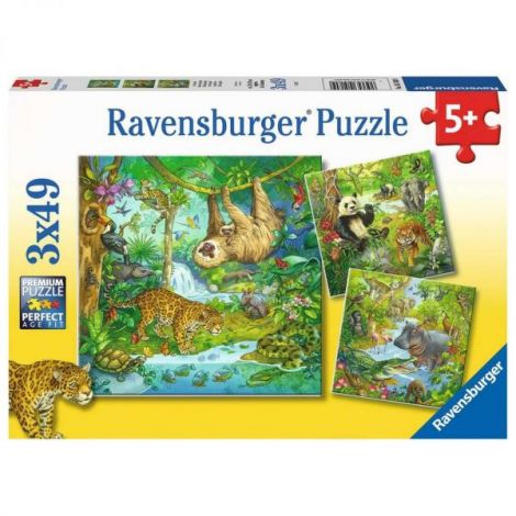 Puzzle Aventuri Jungla Ravensburger 3x49 piese - imagine 4