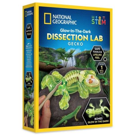 Kit Disecție Șopârlă National Geographic