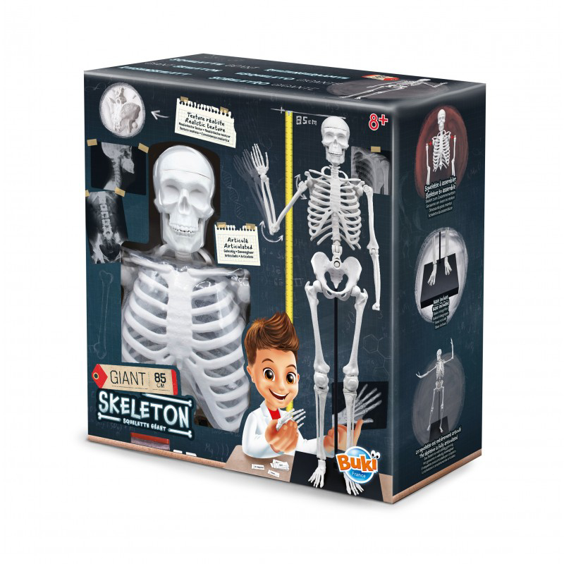 Schelet Buki France 85cm Educativ