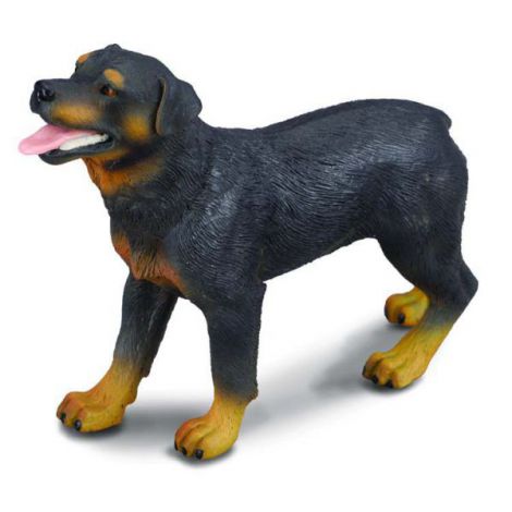 Figurina Rottweiler Collecta | Detaliat si Sigur