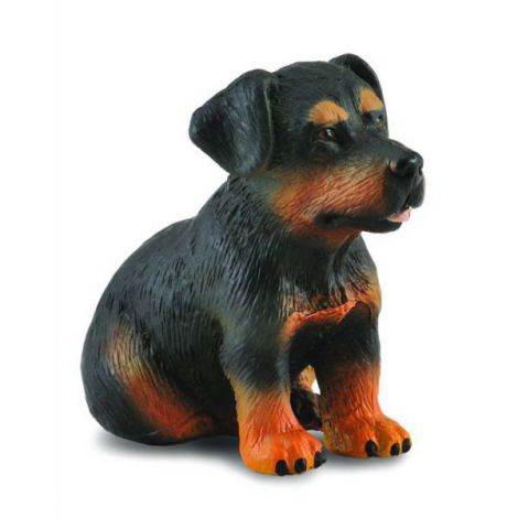 Figurină Rottweiler Collecta | Jucărie Educativă