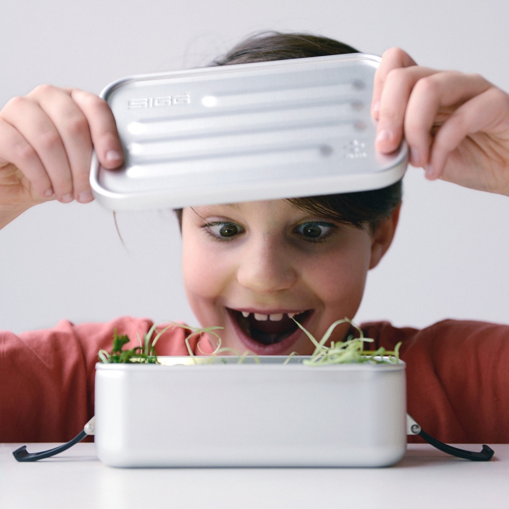 Cutie Alimente SIGG Plus Alu L, Aluminiu