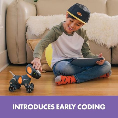 Pyxel Robot Programator Educational Insights - imagine 4