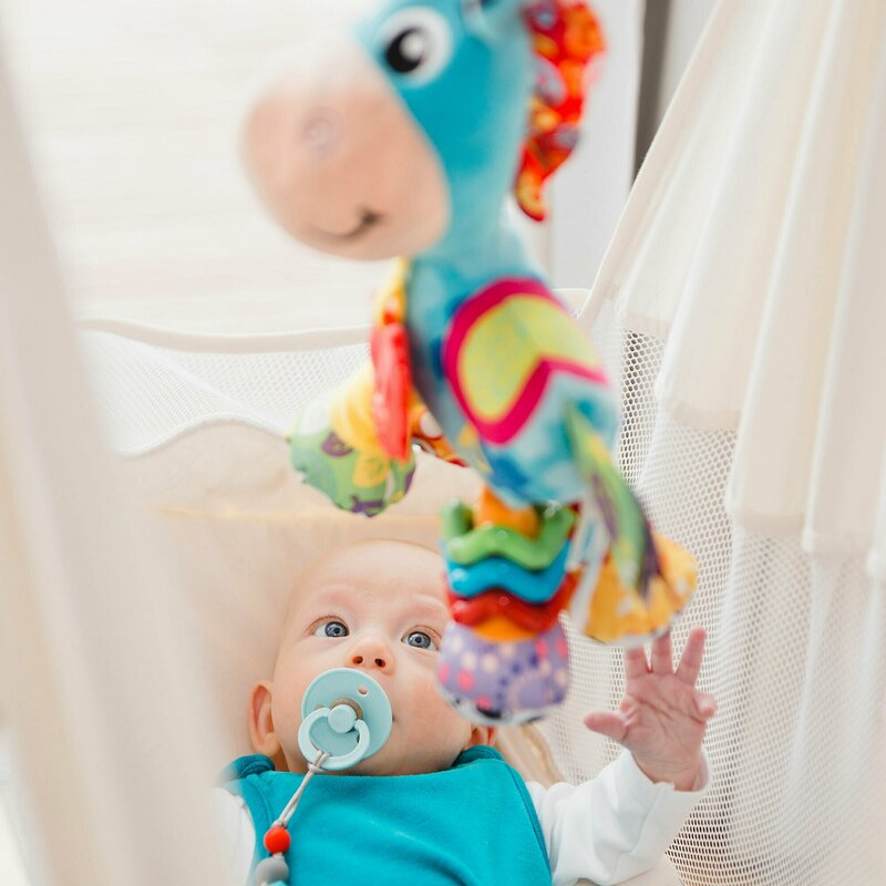Jucărie Carucior Playgro Clip Clop, Activitate, 39 cm - imagine 5