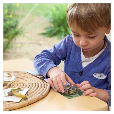 Guidecraft Ciclul Vieții Moliei - Puzzle Educativ - imagine 5