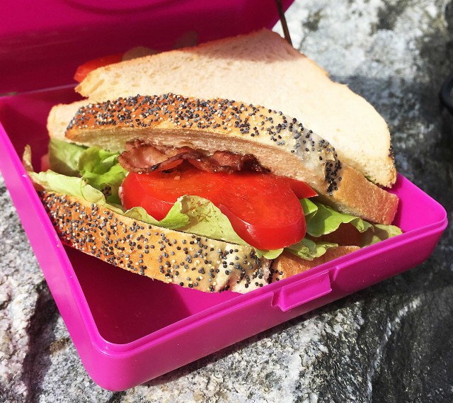 Caserola Sandwich Carl Oscar Mov | Eco-Friendly