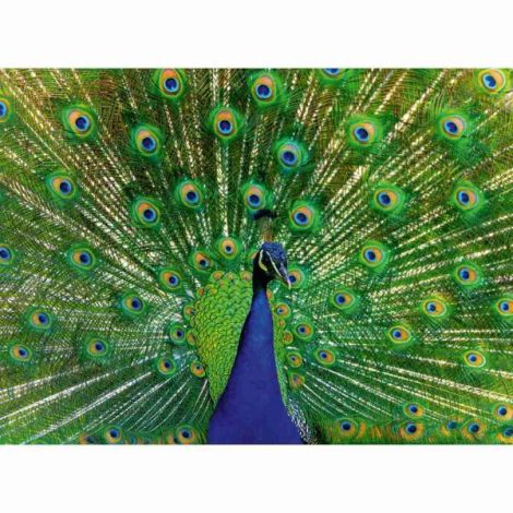 Puzzle Ravensburger 500 piese - Animale Colorate - imagine 3
