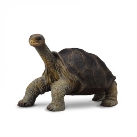 Figurină Broască Țestoasă Pinta Island Collecta