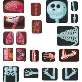 Joc Magnetic Corpul Uman Miniland | Anatomie - imagine 8