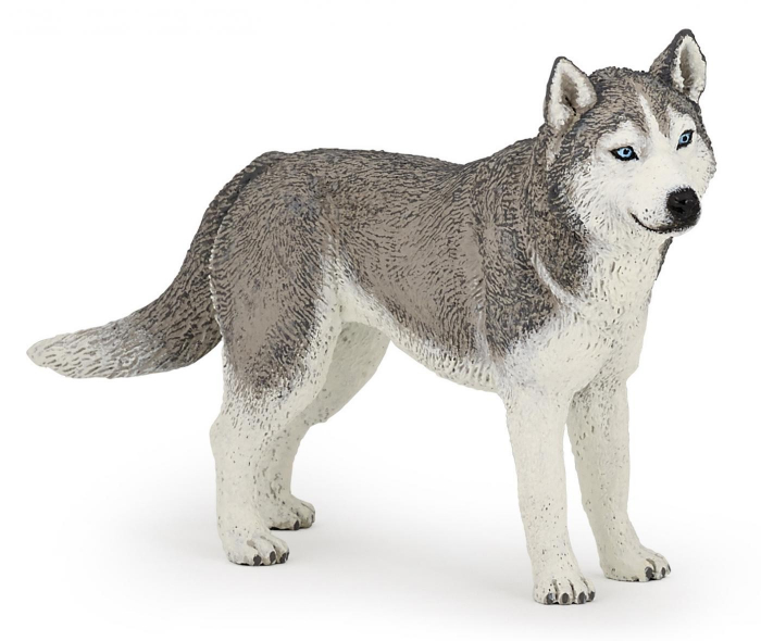 PAPO Figurina Husky Siberian - Realistă
